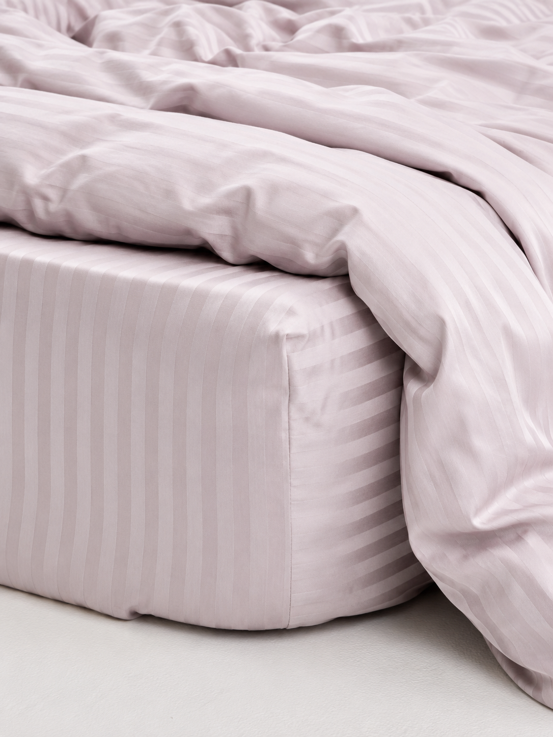 Rose Stripe1